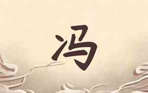 冯宝宝名字怎么写