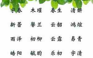 2023秋天宝宝名字