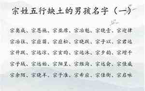 女宝宝名字姓宗
