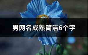 男网名成熟