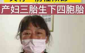 一胎生四个宝宝小说名字