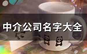 假中介公司名字