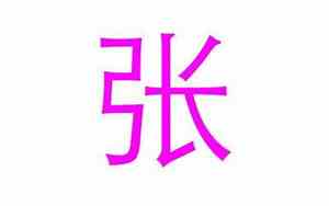 2018猪宝宝名字姓张