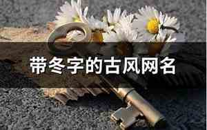带冬的网名
