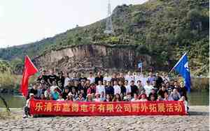 乐清所有公司名字