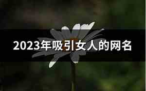 吸引女人的网名