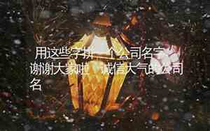 一个有诚信得公司名字