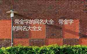 带金字的网名
