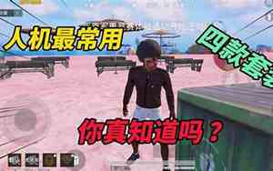 和平精英装人机最好名字