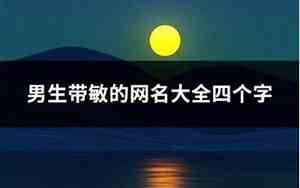 带敏的网名