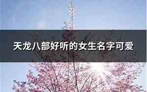 天龙好听的名字女