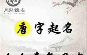 凤字网名