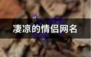 凄凉的网名