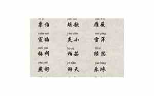 六月狗宝宝名字