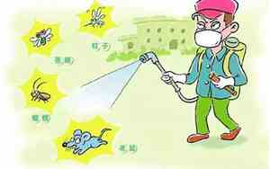 四害公司起名