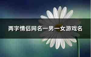 两字情侣网名一男一女