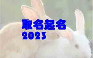 兔宝宝新月名字大全
