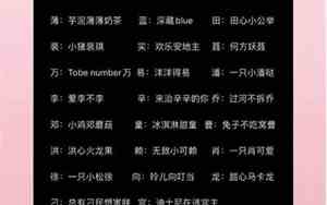 刘的网名