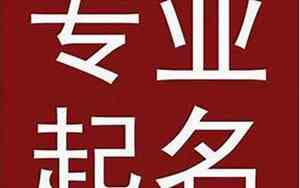 外资公司名字特点