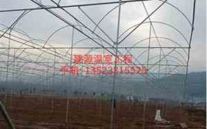 大棚建设公司起名