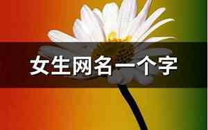 女生网名一个字