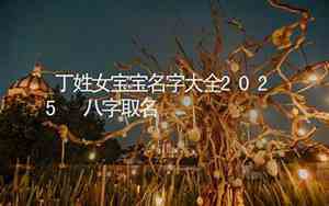 丁姓宝宝名字女