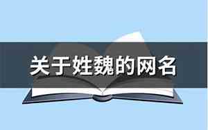 关于魏的网名