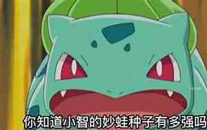 妙蛙种子好听的名字