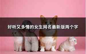 多情的网名