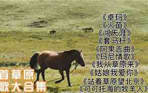 一首好听的草原歌曲