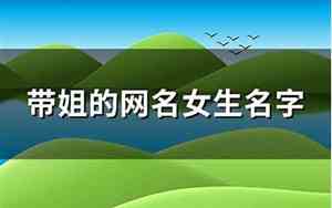带姐的网名