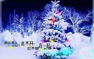带西字的网名