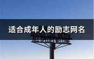 成年人的网名