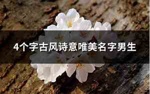 四字诗意好名字男孩子