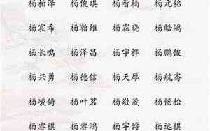 杨氏双字名字男宝宝