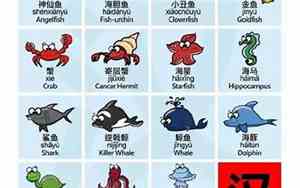海底动物好听的名字