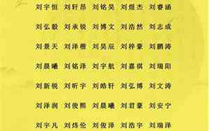 刘姓氏男孩宝宝名字