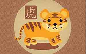 属虎宝宝名字是琪好吗