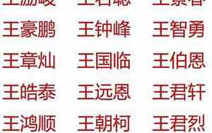 2018宝宝名字姓王