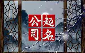 浪字的公司名字