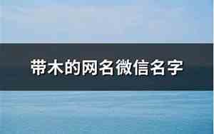 带木的网名