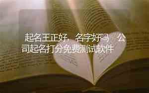 公司名字预测打分算命