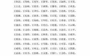 姓王的网名大全