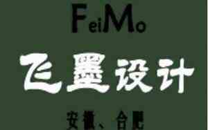 合肥飞墨医疗公司名字