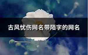 带陌的网名