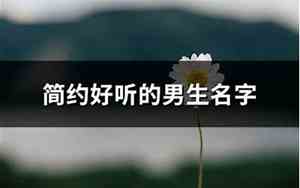 好听的简约男生名字