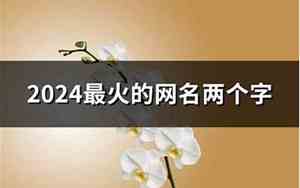 火的网名