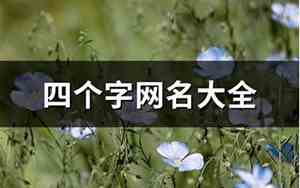 四个的网名