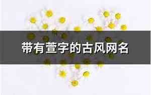 带萱字的网名