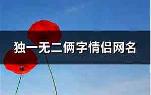 俩个字网名